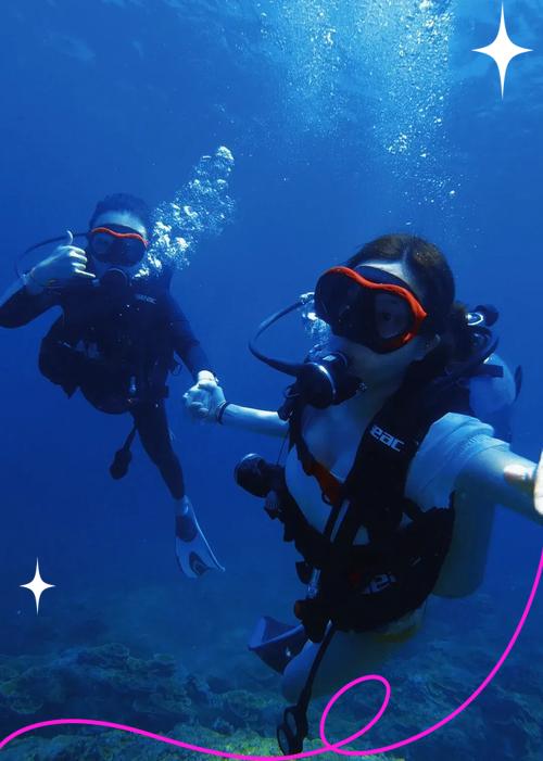 包含大型海洋深潜探索赛，潜入深海体验奇幻之旅的词条