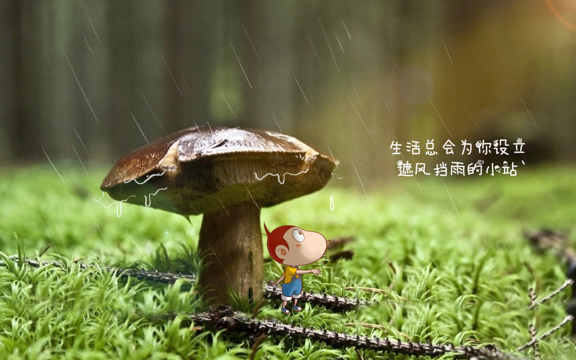 球迷自制“燃爆”短视频：最佳精彩瞬间你看过几个？，自创球员