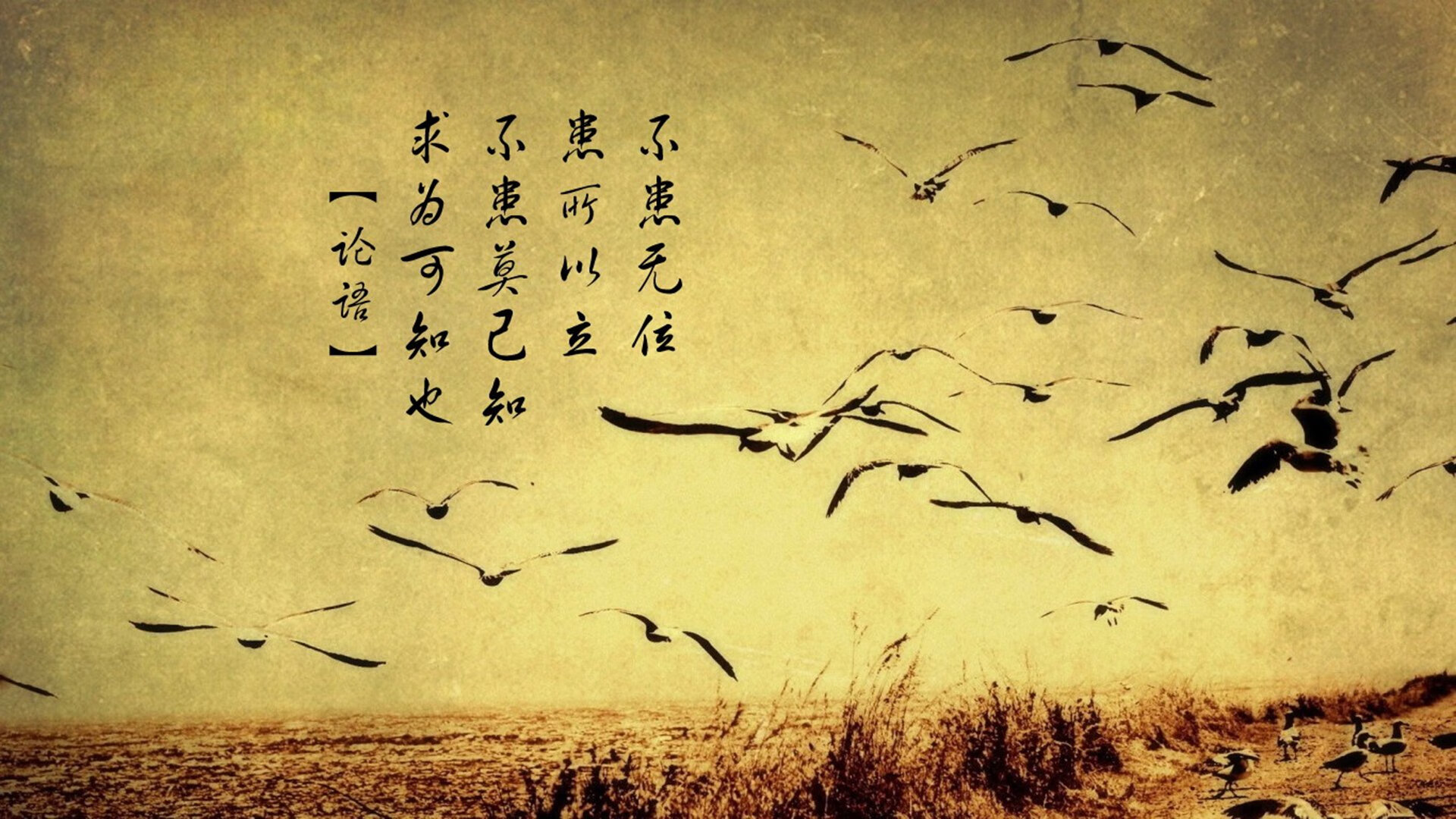 广州富力对阵上海上港，双方实力强弱对比备受瞩目！，广州富力vs广州恒大历史战绩