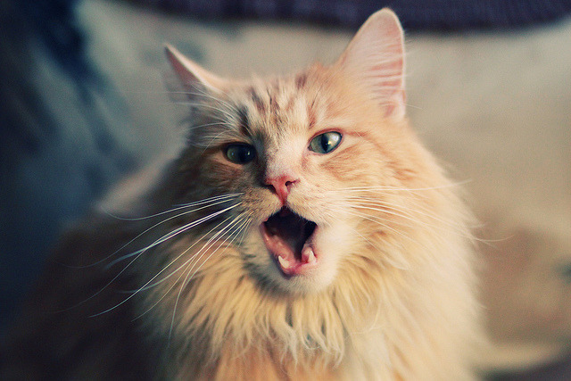 女子足球注重身体对抗训练提升整体抗压水平，女子足球运动