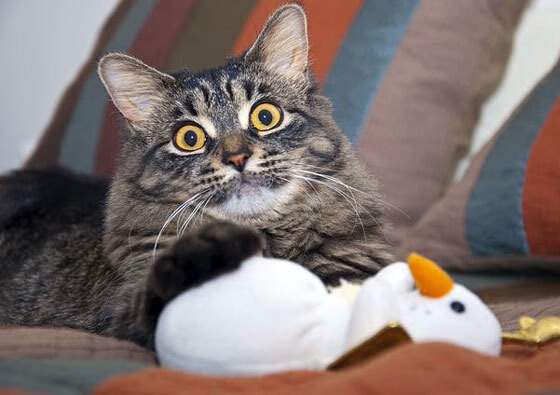 开云体育APP下载-德甲攻势如潮：全场节奏快如闪电，德甲现场